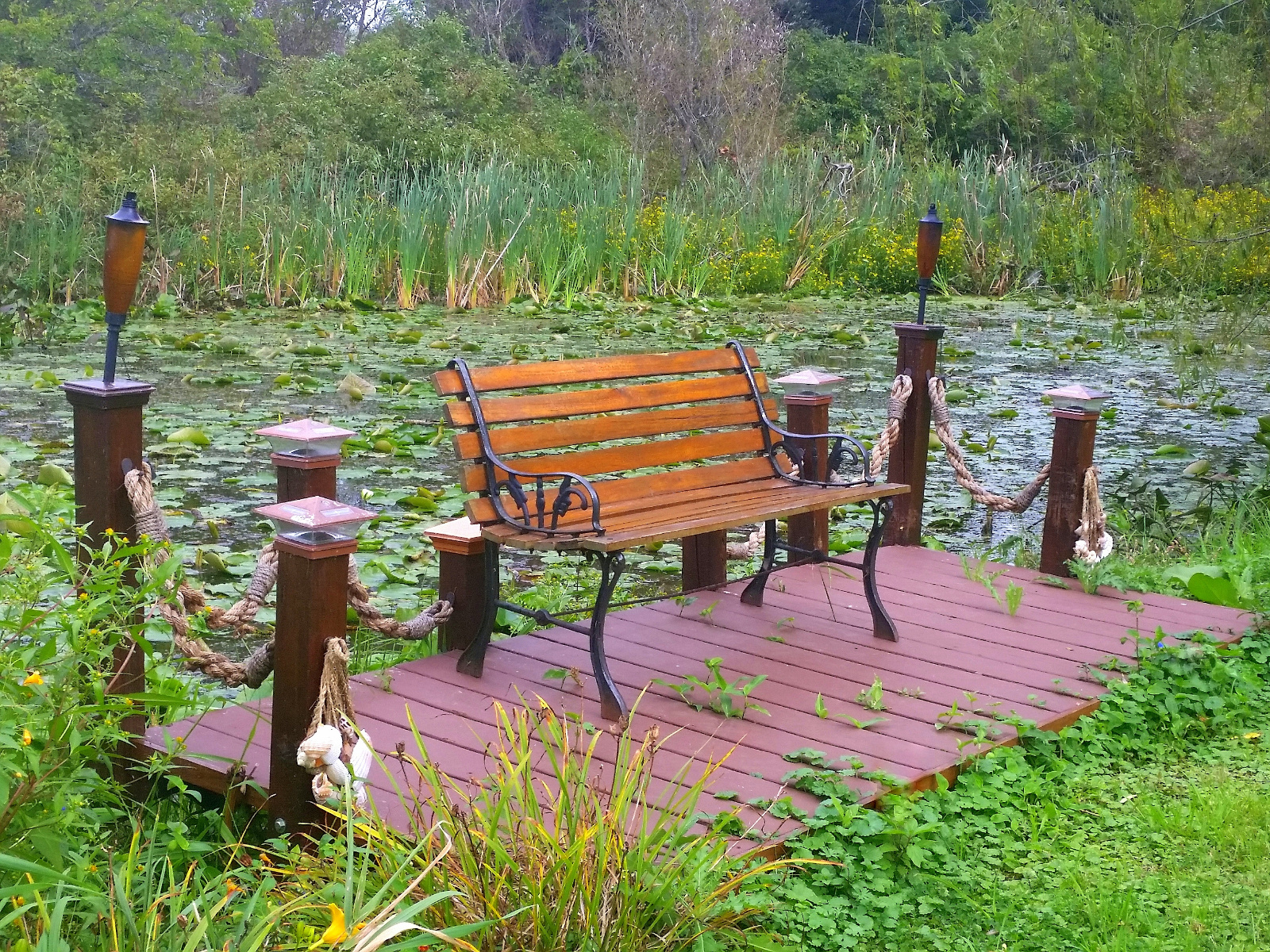 Side Lilypad Channel and Dock with bench